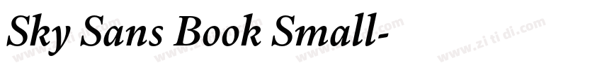 Sky Sans Book Small字体转换